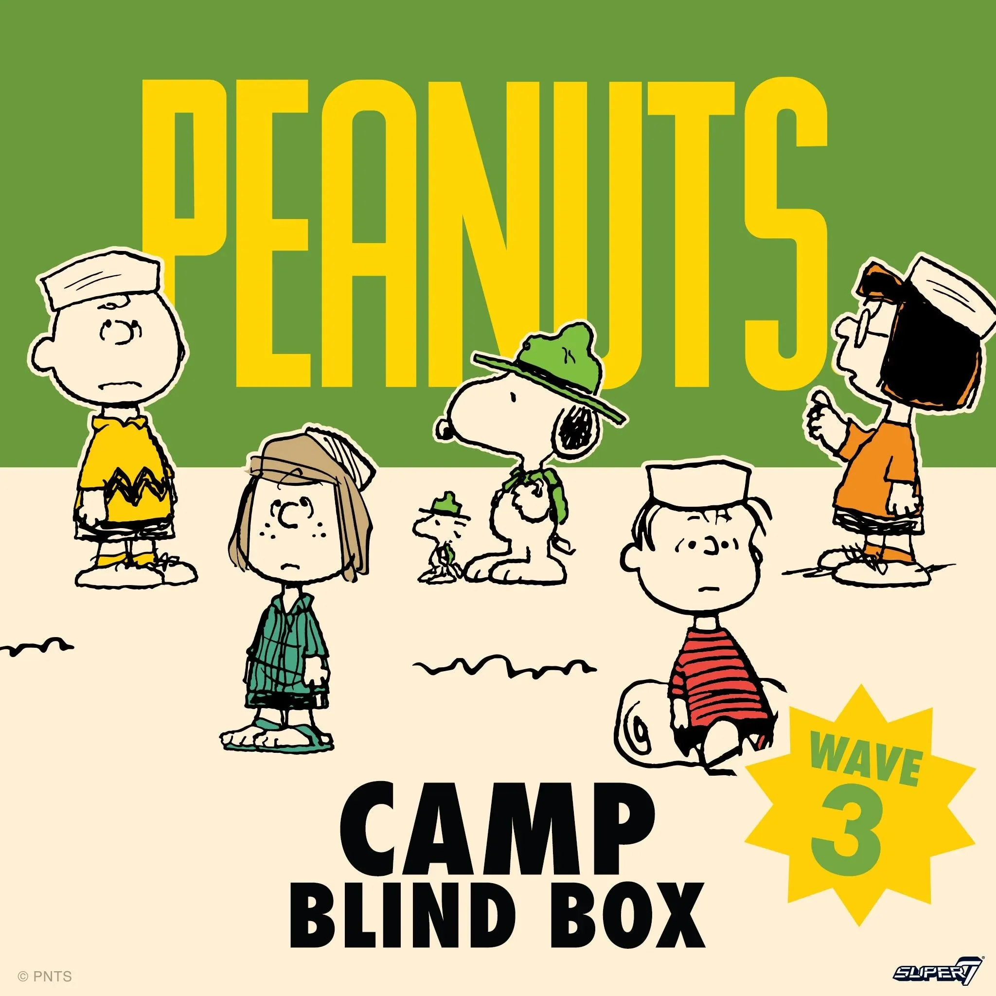 Peanuts Wave 03 | Blind Box